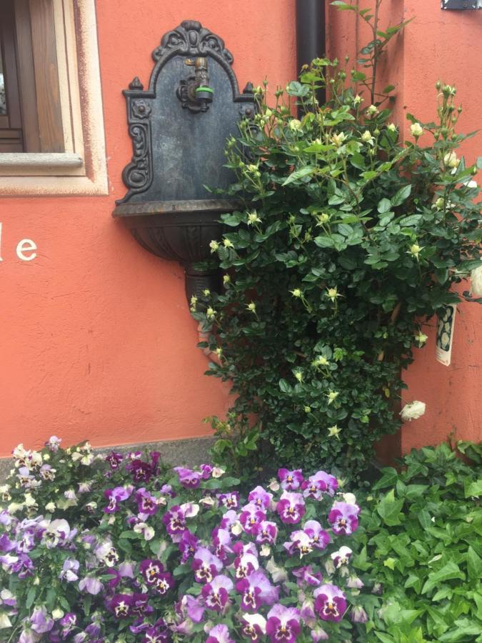 B&B Gira-Sole Cuneo Eksteriør billede
